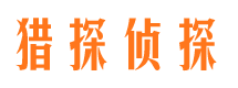 桦甸市场调查